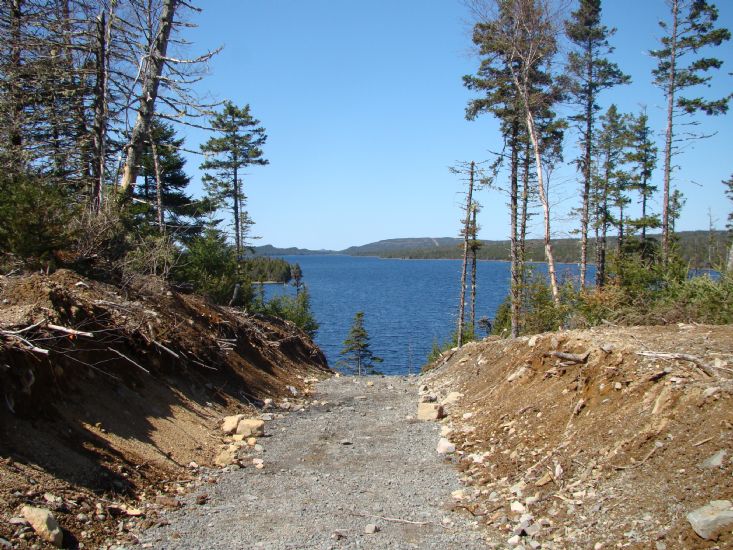 View from Hiking Trail 